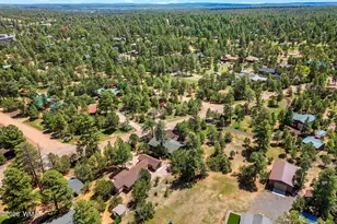 2976 Pine Rim Rd, Overgaard, AZ 85933 - Photo 29