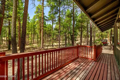56 County Road 2266, Alpine, AZ 85920 - Photo 5