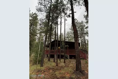 56 County Road 2266, Alpine, AZ 85920 - Photo 23