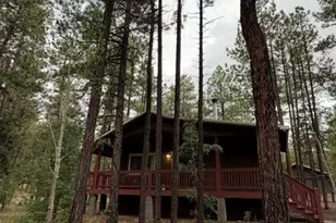 56 County Road 2266, Alpine, AZ 85920 - Photo 23