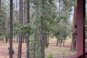 56 County Road 2266, Alpine, AZ 85920 - Photo 17
