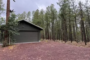 56 County Road 2266, Alpine, AZ 85920 - Photo 19