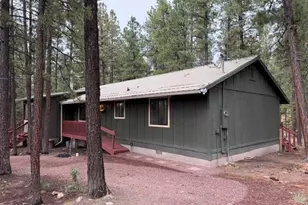 56 County Road 2266, Alpine, AZ 85920 - Photo 27