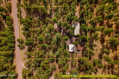 56 County Road 2266, Alpine, AZ 85920 - Photo 11