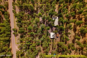 56 County Road 2266, Alpine, AZ 85920 - Photo 11