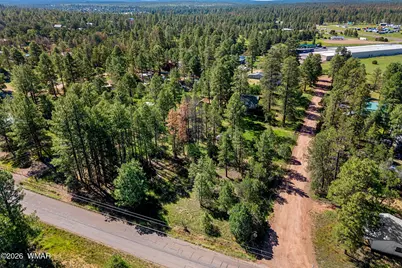 2877 Turkey Trail, Overgaard, AZ 85933 - Photo 5