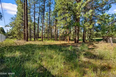 2877 Turkey Trail, Overgaard, AZ 85933 - Photo 3