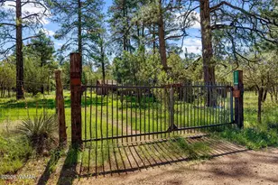 2873 Turkey Trail, Overgaard, AZ 85933 - Photo 29