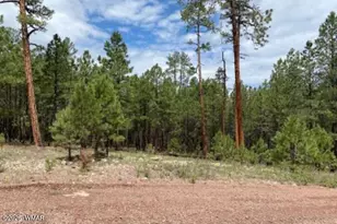 15 County Road 2083, Alpine, AZ 85920 - Photo 1