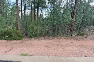 1680 W Snow Creek Loop, Show Low, AZ 85901 - Photo 1