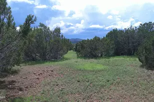 19 N3133, Vernon, AZ 85940 - Photo 1