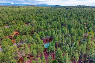 6436 Mark Twain Dr, Pinetop, AZ 85935 - Photo 25