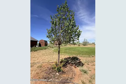 3640 N 5th Street, Snowflake, AZ 85937 - Photo 35