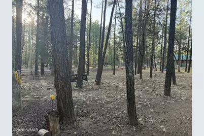 3915 Meadow View Drive, Lakeside, AZ 85929 - Photo 1