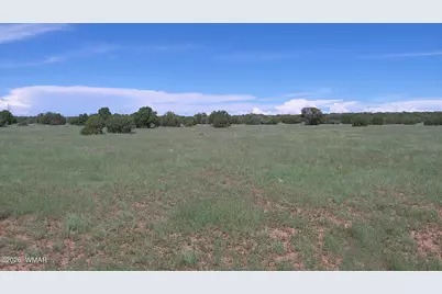 8583 Pine Lane, Show Low, AZ 85901 - Photo 21
