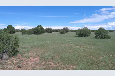 8583 Pine Lane, Show Low, AZ 85901 - Photo 19