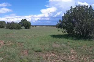 8583 Pine Ln, Show Low, AZ 85901 - Photo 1