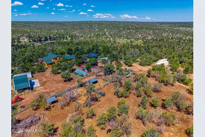 3346 Bear Heights Road, Heber, AZ 85928 - Photo 5