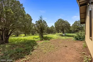 6 Co Rd 3166, Vernon, AZ 85940 - Photo 27