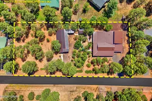 2229 Chevelon Rd, Overgaard, AZ 85933 - Photo 47