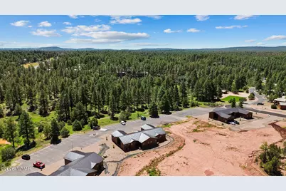 4640 W Tatanka Loop, Show Low, AZ 85901 - Photo 41