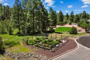 4660 W Tatanka Loop, Show Low, AZ 85901 - Photo 47
