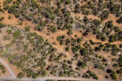 3243 Outlaw Trail, Overgaard, AZ 85933 - Photo 15