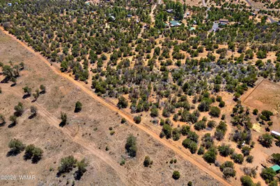 3243 Outlaw Trail, Overgaard, AZ 85933 - Photo 9