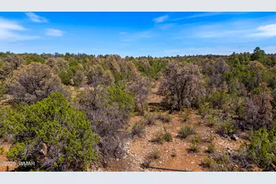 3243 Outlaw Trail, Overgaard, AZ 85933 - Photo 19