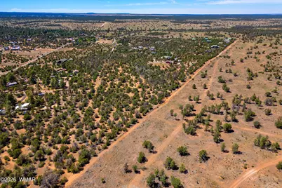 3243 Outlaw Trail, Overgaard, AZ 85933 - Photo 3