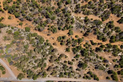 3237 Outlaw Trail, Overgaard, AZ 85933 - Photo 15