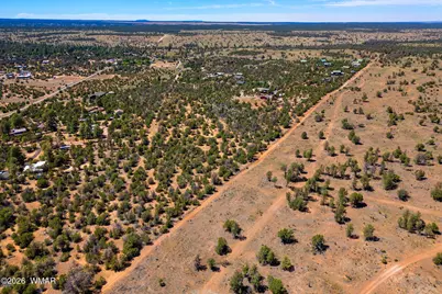 3237 Outlaw Trail, Overgaard, AZ 85933 - Photo 3
