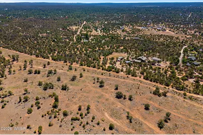 3365 Weese Run, Overgaard, AZ 85933 - Photo 9