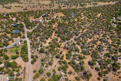 3365 Weese Run, Overgaard, AZ 85933 - Photo 7