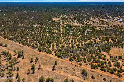 3365 Weese Run, Overgaard, AZ 85933 - Photo 5