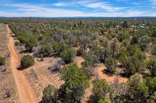 3365 Weese Run, Overgaard, AZ 85933 - Photo 1