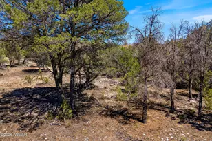 3371 Weese Run, Overgaard, AZ 85933 - Photo 1