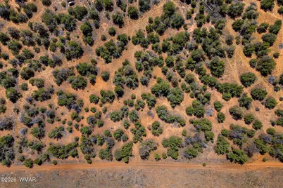3371 Weese Run, Overgaard, AZ 85933 - Photo 11