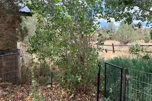 2758 Zane Grey Blvd, Overgaard, AZ 85933 - Photo 51