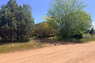 2758 Zane Grey Blvd, Overgaard, AZ 85933 - Photo 55