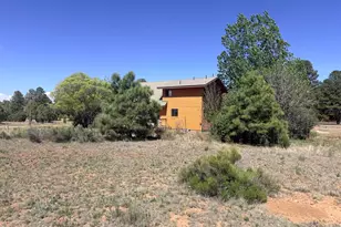 2758 Zane Grey Blvd, Overgaard, AZ 85933 - Photo 49