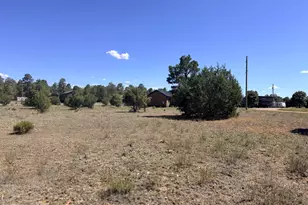 2758 Zane Grey Blvd, Overgaard, AZ 85933 - Photo 57