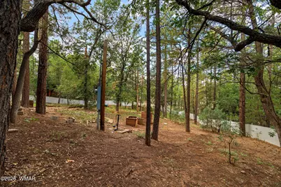 6512 Lower Ridge Drive, Lakeside, AZ 85929 - Photo 25