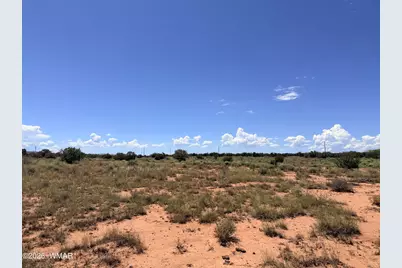 020P White Antelope Road, Snowflake, AZ 85937 - Photo 5