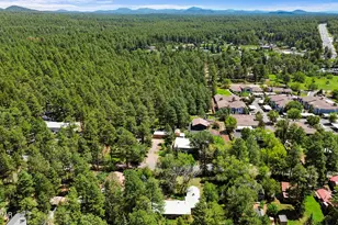 1336 S Penrod Dr, Pinetop, AZ 85935 - Photo 37