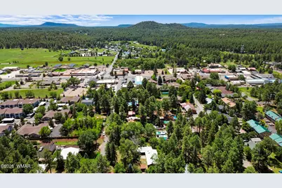 1336 S Penrod Drive, Pinetop, AZ 85935 - Photo 35