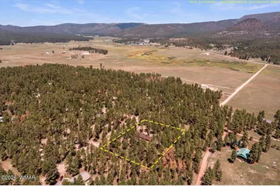 8 Turkey Track Drive, Alpine, AZ 85920 - Photo 33
