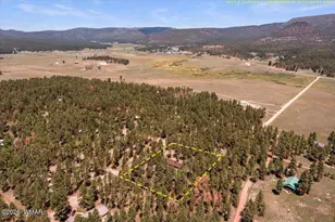8 Turkey Track Dr, Alpine, AZ 85920 - Photo 33