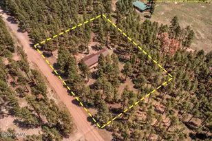 8 Turkey Track Dr, Alpine, AZ 85920 - Photo 29