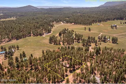 8 Turkey Track Drive, Alpine, AZ 85920 - Photo 31